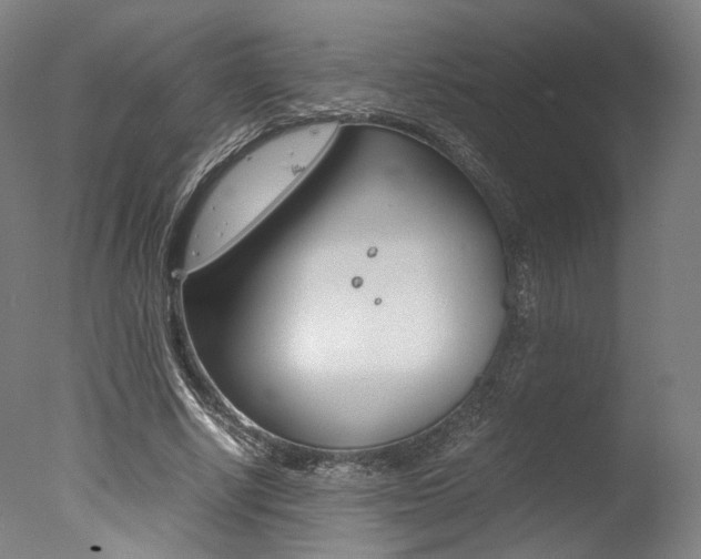X0000077340634200610200941