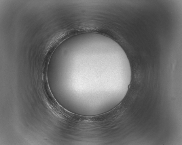 X0000077340635200610200941