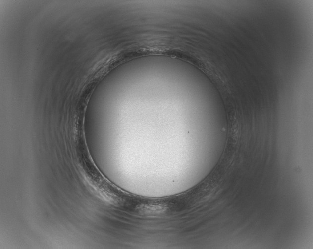X0000077340639200610200941