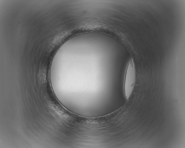 X0000077340640200610200942