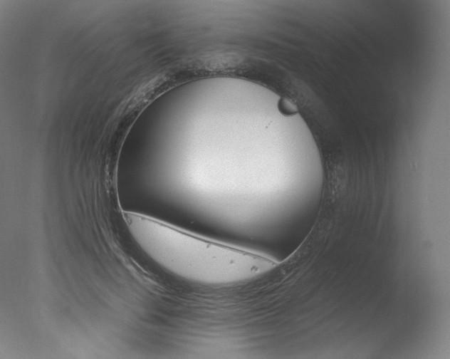 X0000077340644200610200942