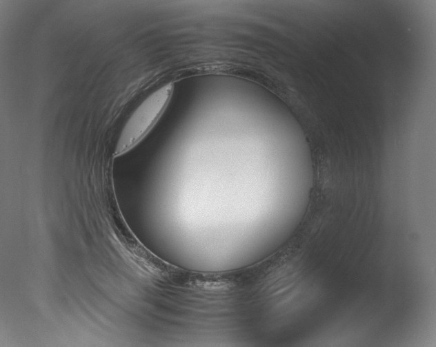 X0000077340645200610200942