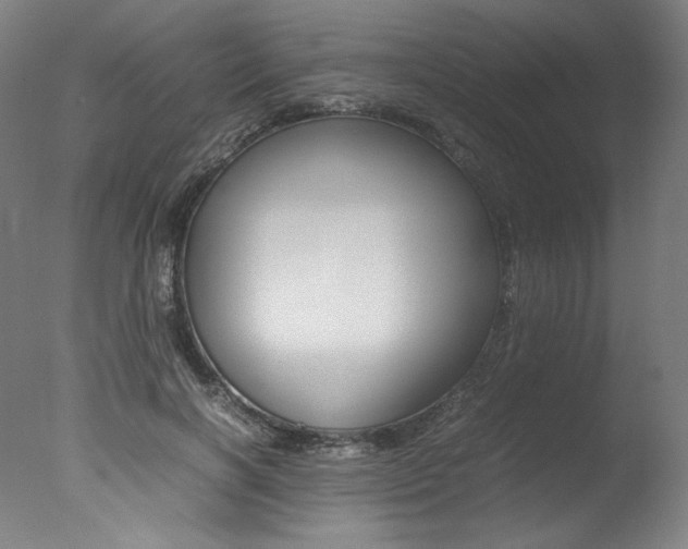 X0000077340646200610200942
