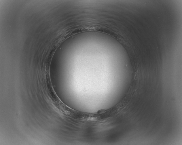 X0000077340647200610200942