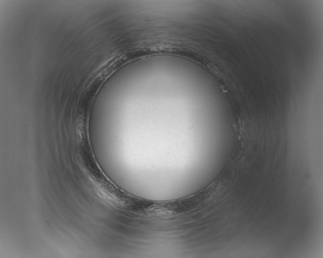 X0000077340648200610200942