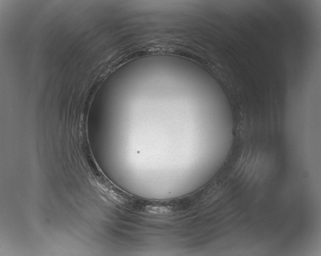 X0000077340649200610200942