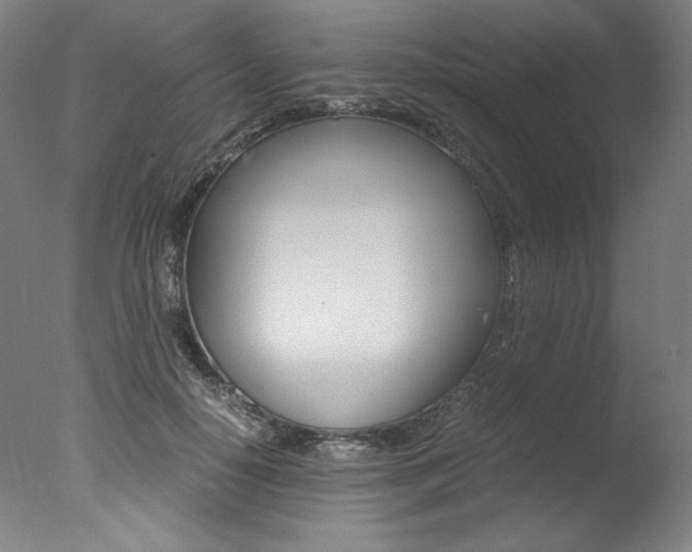 X0000077340650200610200942