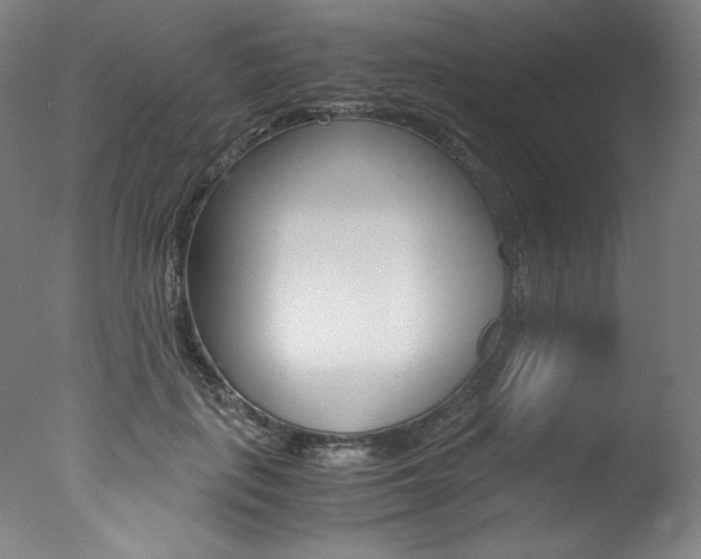 X0000077340651200610200942
