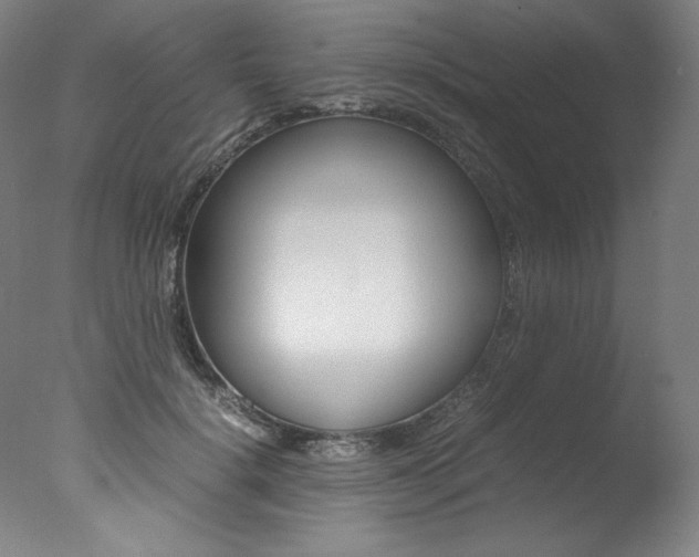 X0000077340652200610200942