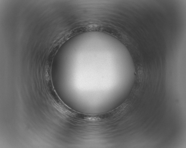X0000077340654200610200942