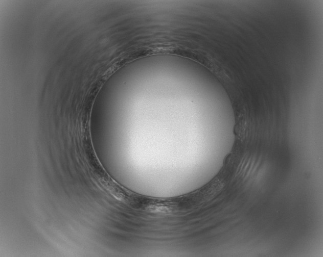 X0000077340655200610200942