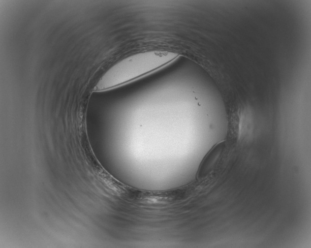 X0000077340657200610200942