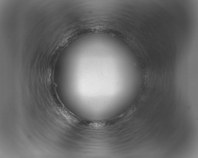 X0000077340660200610200942