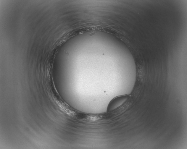 X0000077340662200610200942