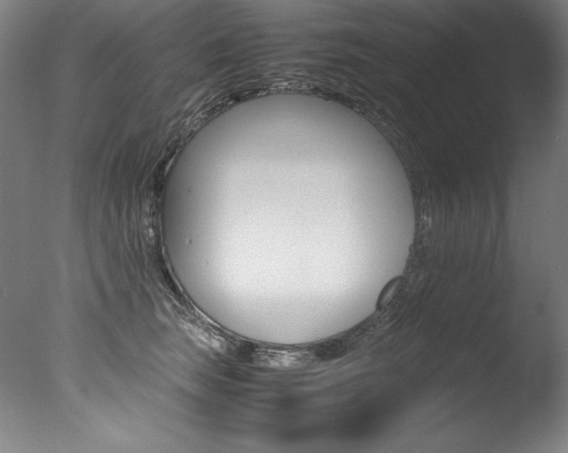 X0000077340663200610200942