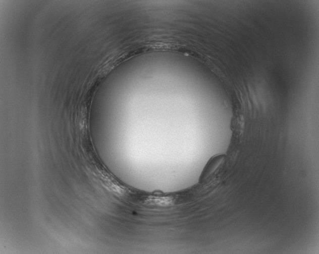 X0000077340665200610200942