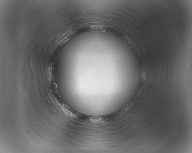 X0000077340666200610200942