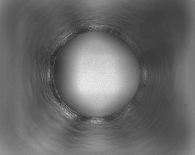 X0000077340668200610200942
