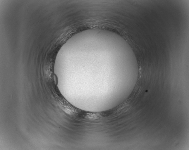 X0000077340671200610200942