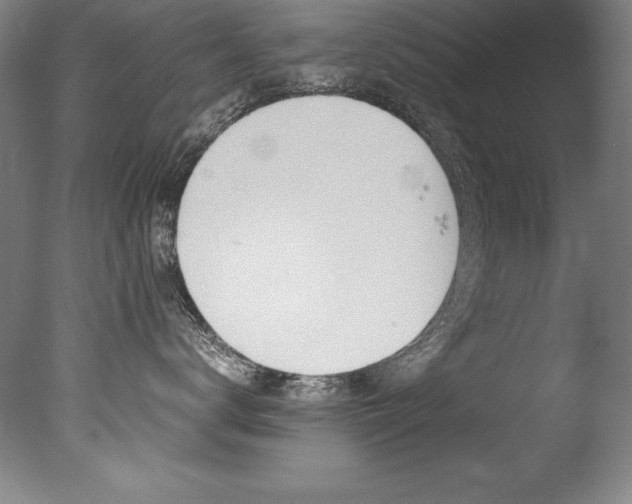 X0000077340672200610200942