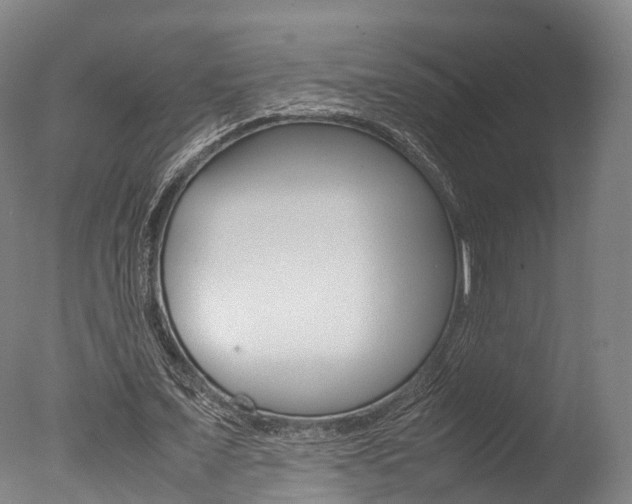 X0000077340675200610200941