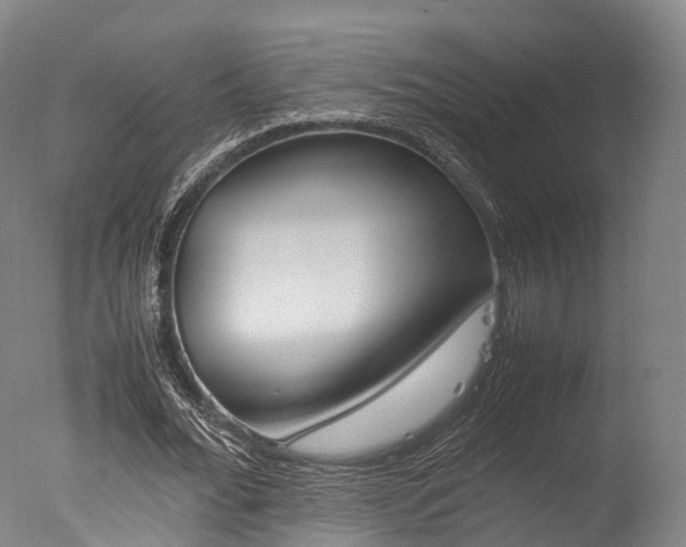 X0000077340676200610200941