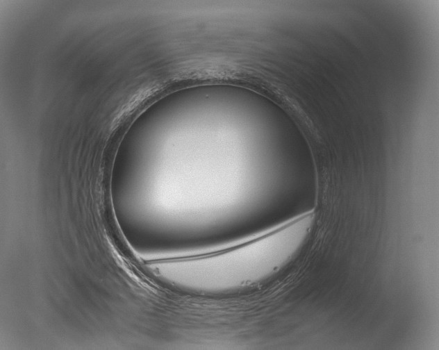 X0000077340677200610200941