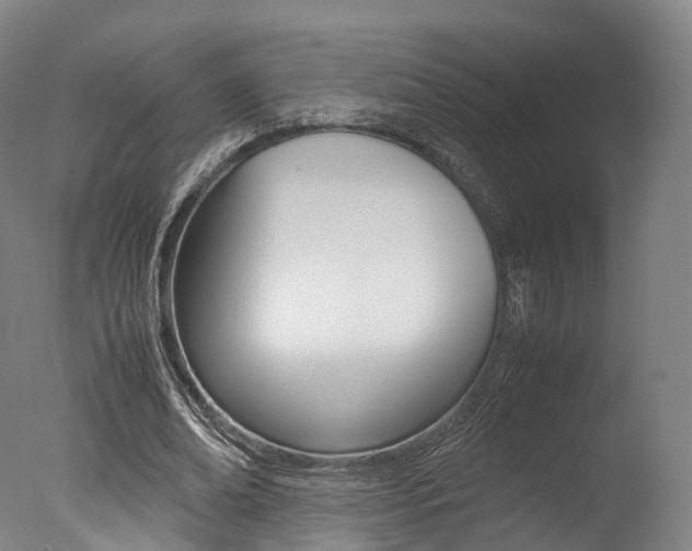 X0000077340678200610200941