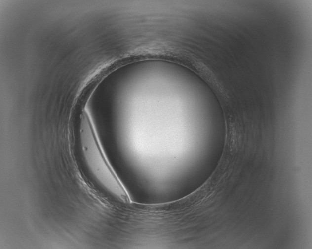 X0000077340680200610200941