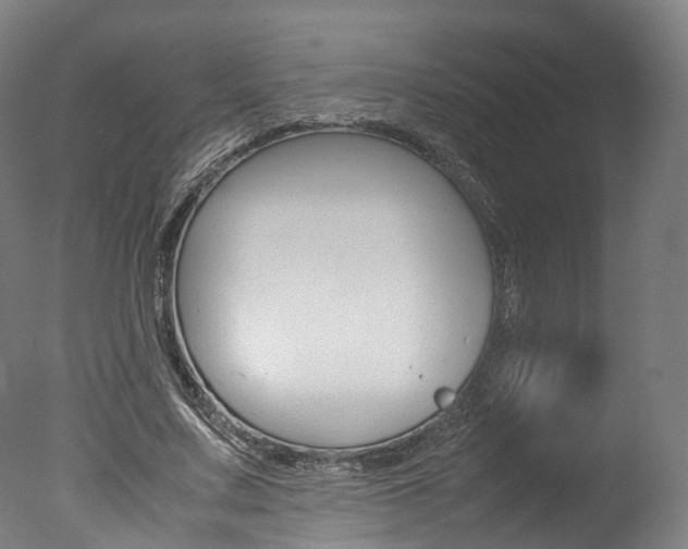 X0000077340683200610200941