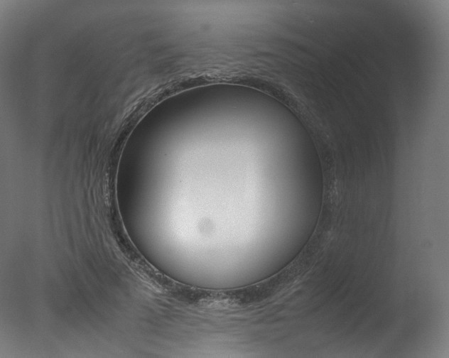 X0000077340689200610200941