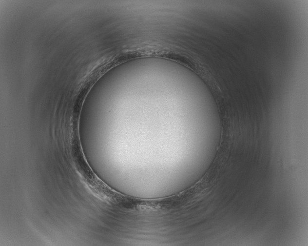 X0000077340690200610200941