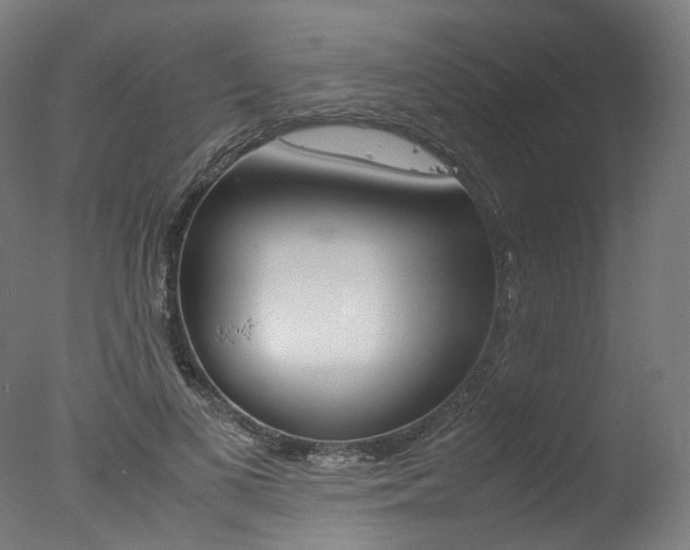 X0000077340693200610200941
