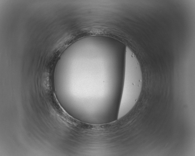 X0000077340696200610200941
