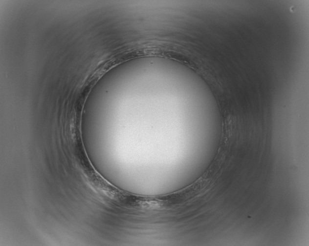 X0000077340698200610200941