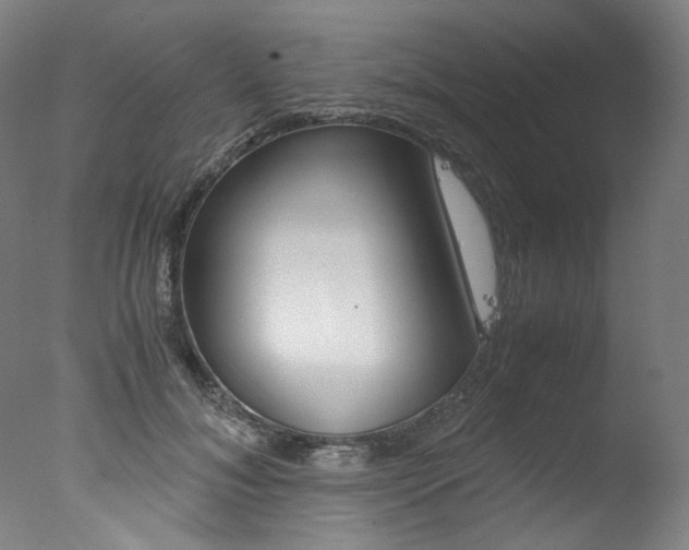 X0000077340700200610200941