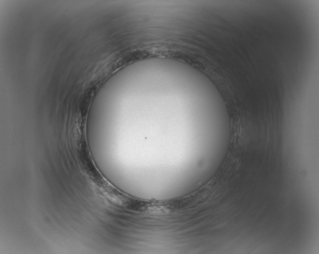 X0000077340702200610200941