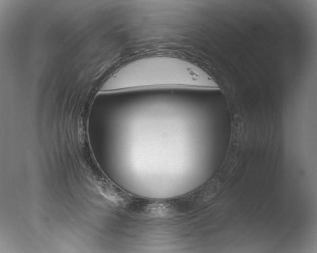 X0000077340704200610200941