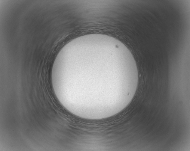 X0000077340705200610200941
