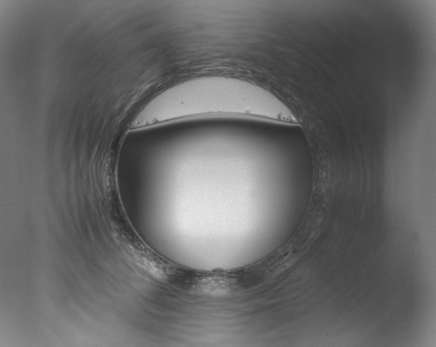 X0000077340708200610200941