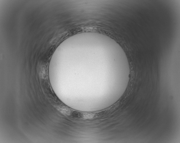 X0000077340709200610200941