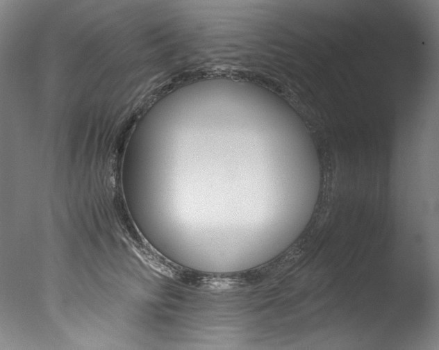 X0000077340710200610200941