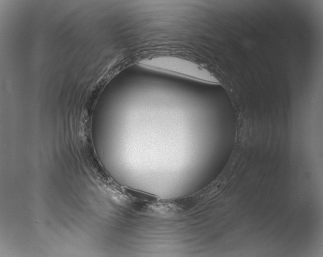 X0000077340712200610200941