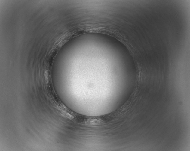 X0000077340716200610200941