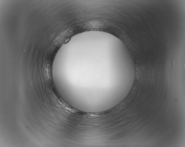 X0000077340718200610200940