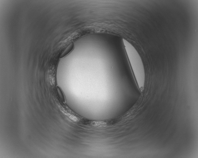 X0000077340719200610200940