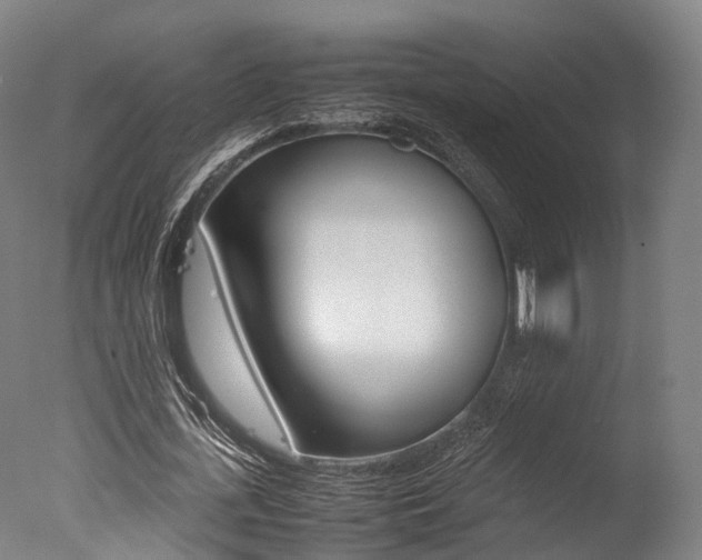 X0000077340723200610200940