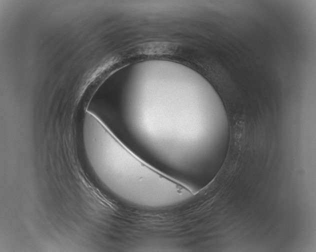 X0000077340727200610200940