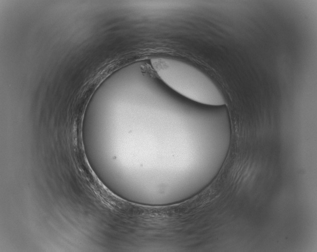 X0000077340729200610200940