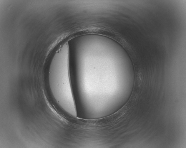 X0000077340734200610200940
